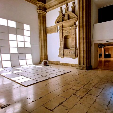 Scala Naturae - Foto de Román Tower / RTorre (Twitter)