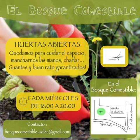 Cartel del evento