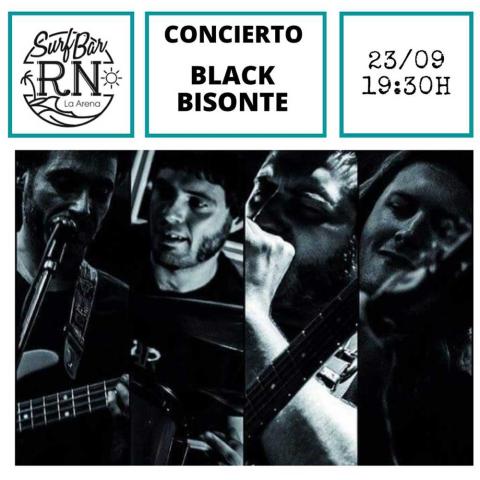 Cartel del evento