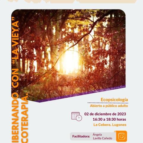 Cartel de la actividad.
