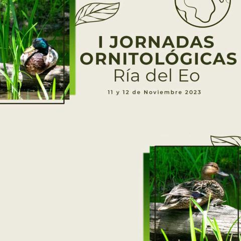 Cartel del evento