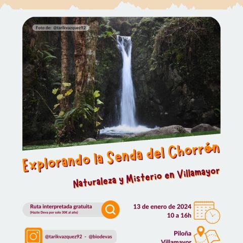 cartel de la actividad