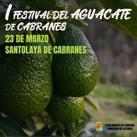 Cartel del evento