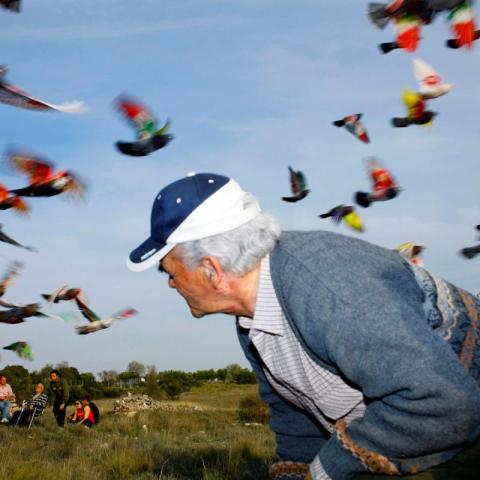 © Ricardo Cases, VEGAP, Avilés, 2025