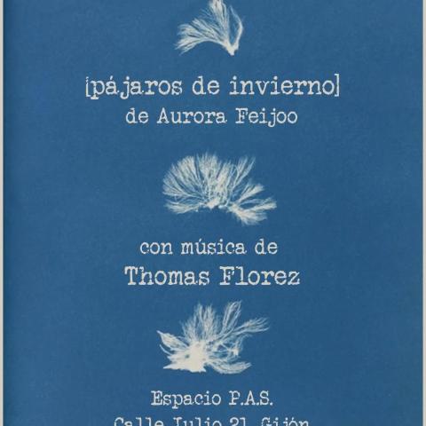 pájaros de invierno