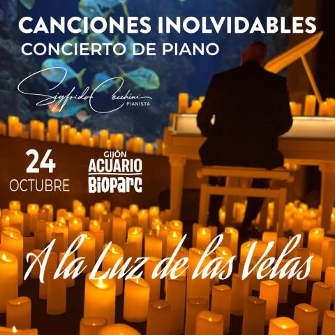 Concierto "A la Luz de las Velas: Canciones Inolvidables" Bioparc Acuario