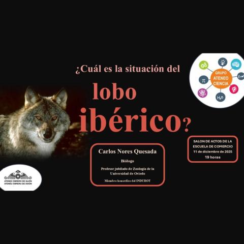 ¿Cuál es la situación del lobo ibérico?