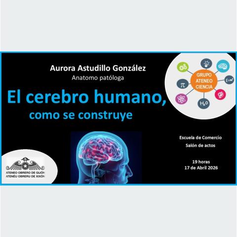 El cerebro humano: ¿Cómo se construye?