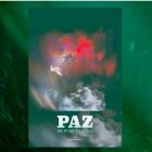 Paz de puño y letra