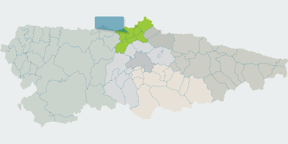 Mapa con zona Avilés y comarca